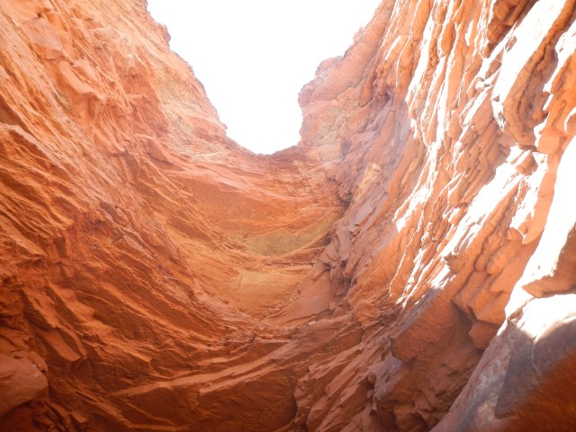DSCN0046