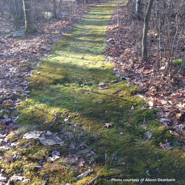 chester path_Fotor